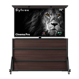 75 Zoll TV-Schrank + Cinema Pro Outdoor-TV (Volle Sonne)