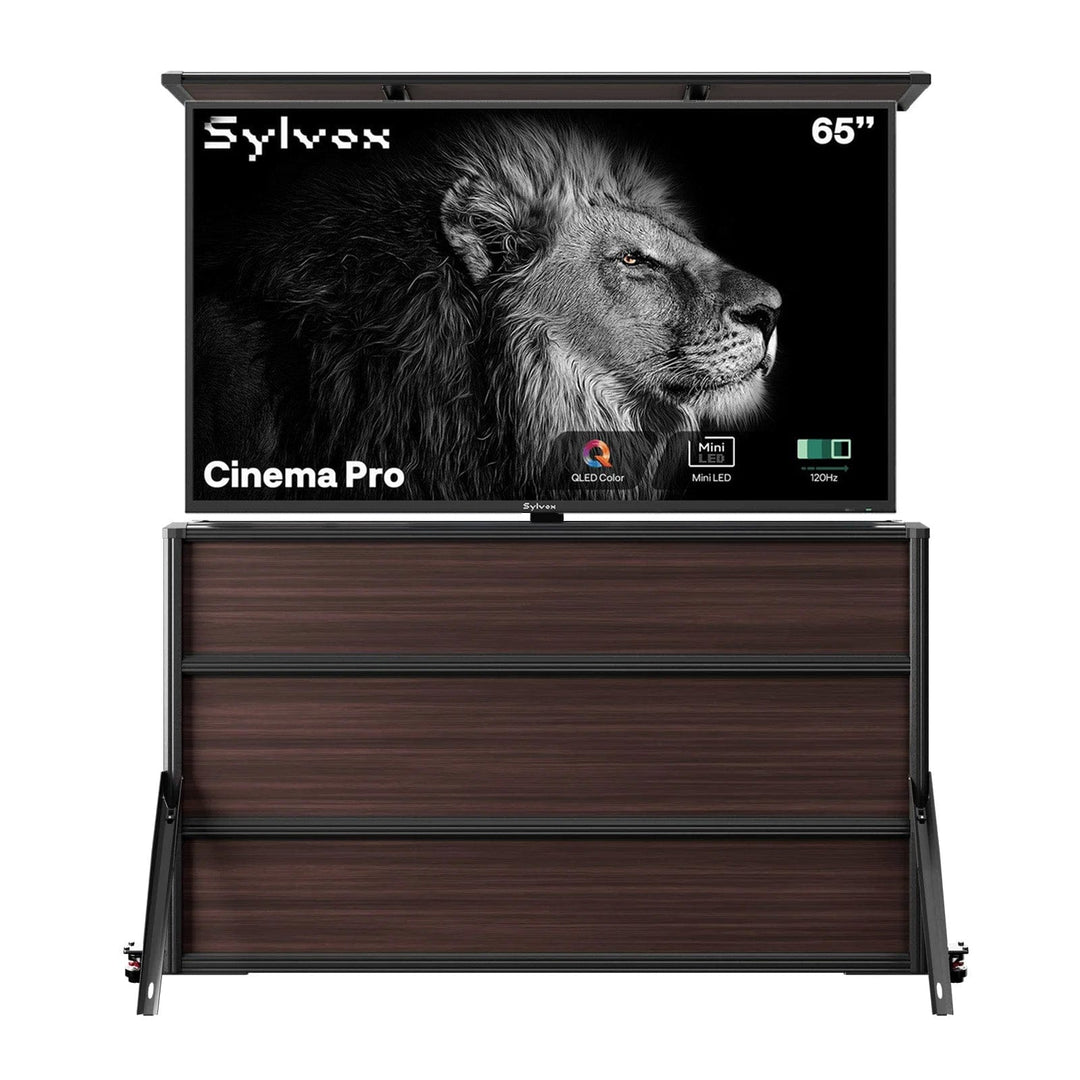 65 Zoll TV-Schrank + Cinema Pro Outdoor-TV (Volle Sonne)