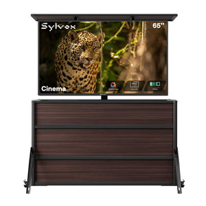 65 Zoll TV-Schrank + Cinema Outdoor-TV (Volle Sonne)