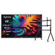 65 Zoll QLED Outdoor Fernseher für Pool (Wetterfest) - Pool Pro 2.0 QLED Serie
