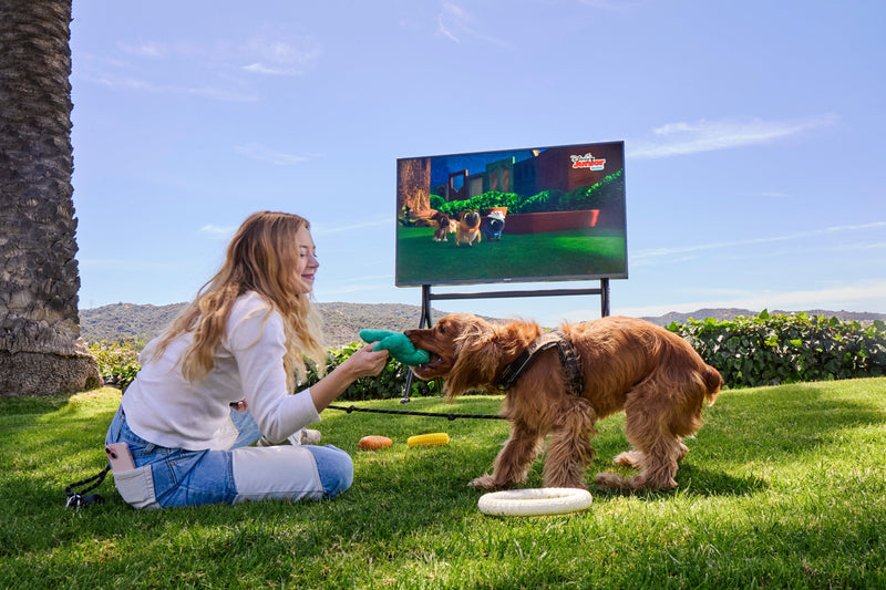 Direkte Sonneneinstrahlung