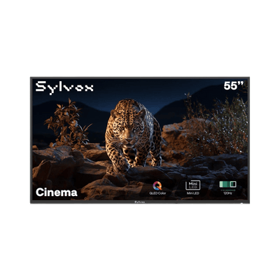55 Zoll QLED 120 Hz Outdoor Fernseher (Tageslichttauglich) Wetterfest 4K Smart TV - Cinema Serie