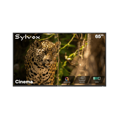 65 Zoll QLED 120 Hz Outdoor Fernseher (Tageslichttauglich) Wetterfest 4K Smart TV - Cinema Serie